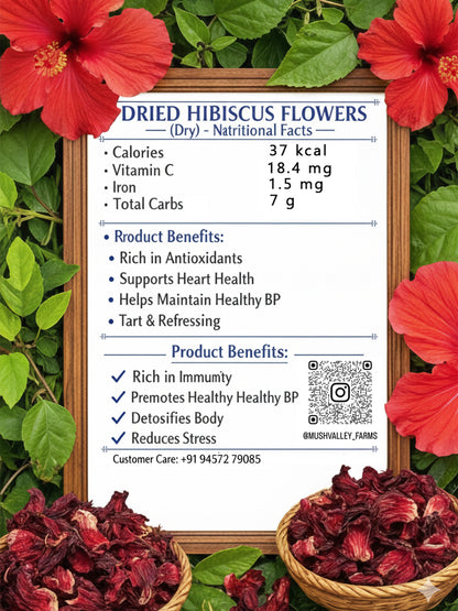Dry Hibiscus Flower