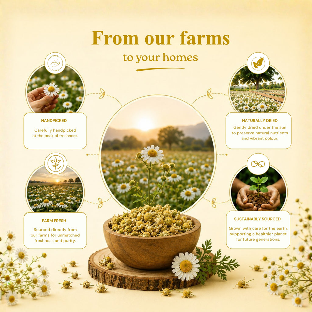 Chamomile Flowers powder