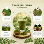 Moringa Powder