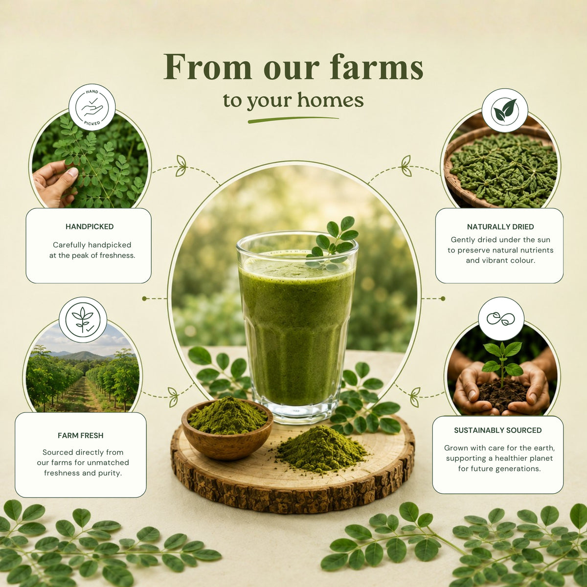 Moringa Powder