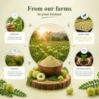Amla Powder