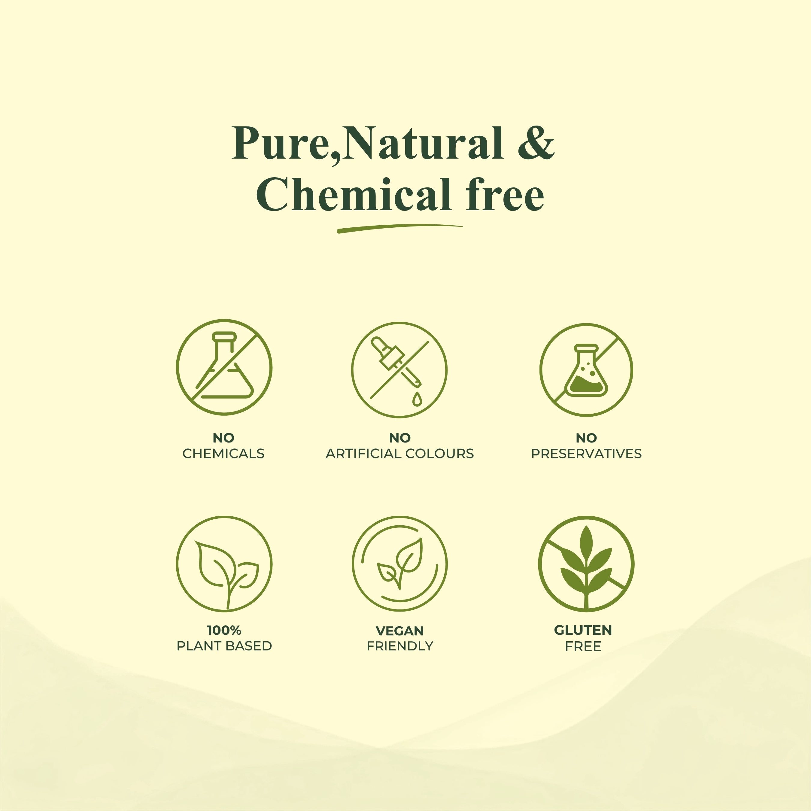 Amla Powder
