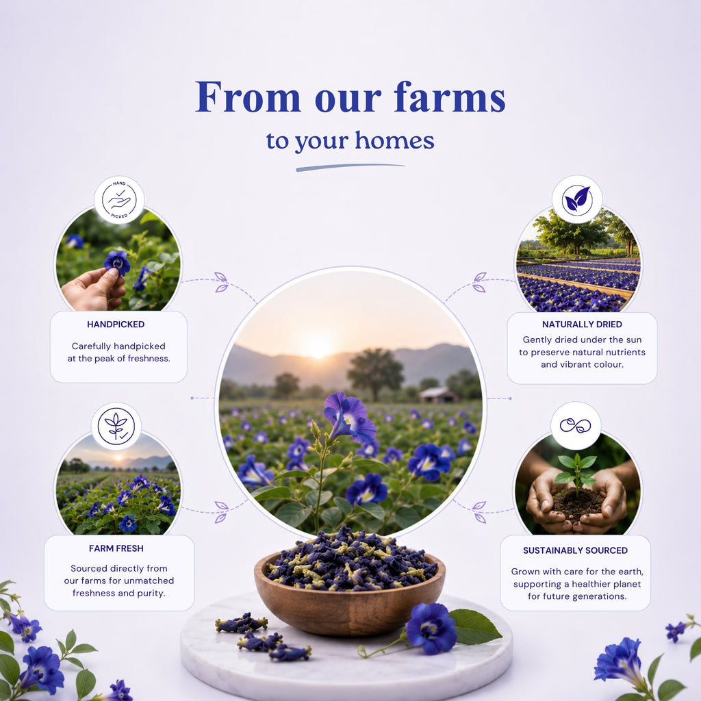 Butterfly Pea Flower