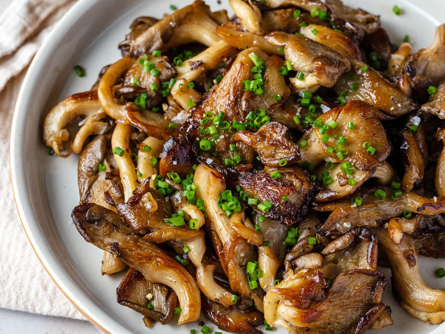 Dried Oyster Mushroom